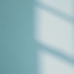 LickPro  5Ltr Blue 08 Vinyl Matt Emulsion  Paint