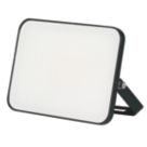 Brackenheath iSpot Frameless II Indoor & Outdoor LED Floodlight Black 30W 3300lm