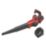 Einhell GE-UB 18/250 Li E  18V 1 x 4Ah Li-Ion Power X-Change  Cordless Blower