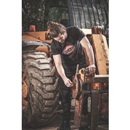 Dickies Denison Short Sleeve T-Shirt Black X Large 40-43" Chest