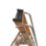Lyte Fibreglass 2.71m 8 Step Platform Step Ladder With Handrail