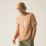 Regatta Cline IX Short Sleeve T-Shirt Italian Clay 3X Large 54.3" Chest