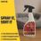 Insecto  Flea Insecticide Killer Spray 500ml