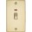 Knightsbridge  45A 2-Gang DP Control Switch Polished Brass with LED