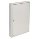 Sterling  50-Hook Key Cabinet Safe