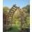 Forest Whitby 5' x 8' 6" (Nominal) Timber Arch
