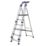 Werner Aluminium 1.89m 6 Step Platform Step Ladder With Handrail