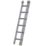Werner PRO 2.95m Extension Ladder