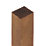 Forest Golden Brown Fence Posts 75mm x 75mm x 2100mm 3 Pack