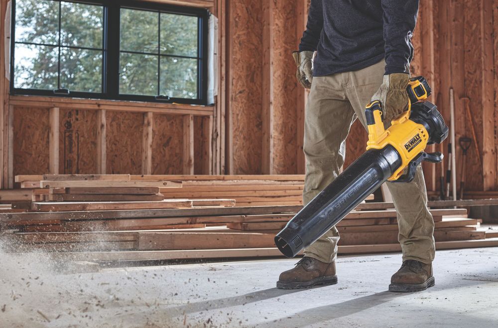 Dewalt blower and chainsaw hot sale