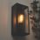 Zink Minerva Outdoor Wall Box Lantern Anthracite