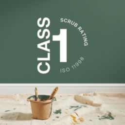 LickPro Max+ 1Ltr Green BS 14 C 39 Matt Emulsion  Paint