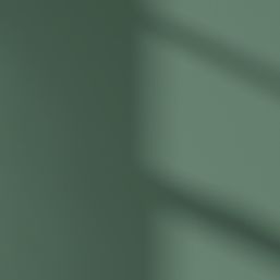 LickPro Max+ 1Ltr Green BS 14 C 39 Matt Emulsion  Paint