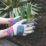 ClipGlove Leather Palm  Womens Goatskin Leather Gardening Gloves Blue / Cream Small