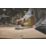 DEWALT DCW230N-XJ 150mm 18V Li-Ion XR Brushless Cordless Random Orbital Sander - Bare