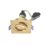 Inlight Pasto Adjustable Square Downlights Brass 6 Pack