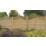 Forest Prague  Lattice Curved Top Fence Panels Natural Timber 6' x 6' Pack of 10