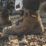 DEWALT Foundry Size 8  Gunsmoke Waterproof Steel Toe Cap Safety Boots