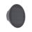 Lutec Belka Outdoor LED Solar Hybrid Wall Light Dark Grey 280lm