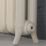 Arroll 549mm x 1174mm 4350BTU Cream Cast Iron 2 Column Radiator