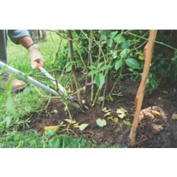 STIHL PB 30  Bypass Pruning Shears 32.7" (83cm)