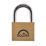 Squire LN5 Brass Keyed Alike Water-Resistant   Padlock 50mm