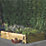 Forest Caledonian Garden Planter Natural Timber 1800mm x 900mm x 312mm