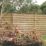 Forest Europa Single-Slatted  Fence Panels Natural Timber 6' x 5' Pack of 4