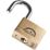 Squire Lion Brass  Weatherproof   Padlock 40mm