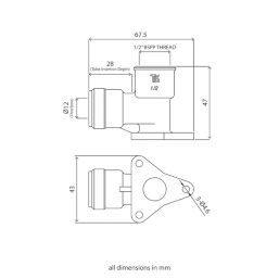 Flomasta  Brass Push-Fit Adapting 90° Wall Plate Elbow 15mm x 1/2"