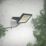 LAP Alernus Outdoor LED Floodlight Black 100W 12,000lm