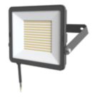 LAP Alernus Outdoor LED Floodlight Black 100W 12,000lm