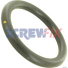 Baxi Z190 CLEAN OUT DOOR SEAL