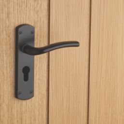 Designer Levers Goodrich Fire Rated Lever Euro Lock Door Handle Pair Matt Black