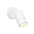 Saxby Palin Outdoor Wall Light Gloss White