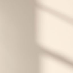 LickPro Max+ 2.5Ltr White BS 08 B 15 Matt Emulsion  Paint