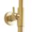 Highlife Bathrooms Spey Rear-Fed Exposed Brushed Brass Thermostatic Shower