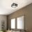 Eglo Amezola Wall/Ceiling Light Black