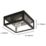 Eglo Amezola Wall/Ceiling Light Black