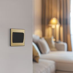 British General Evolve 20A 16AX 1-Gang 2-Way Wide Rocker Light Switch  Satin Brass with Black Inserts