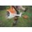 STIHL  FSA 200 36V Li-Ion AP System Brushless Cordless Brushcutter - Bare
