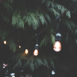 4lite Festoon 10m Outdoor IP44 Lighting