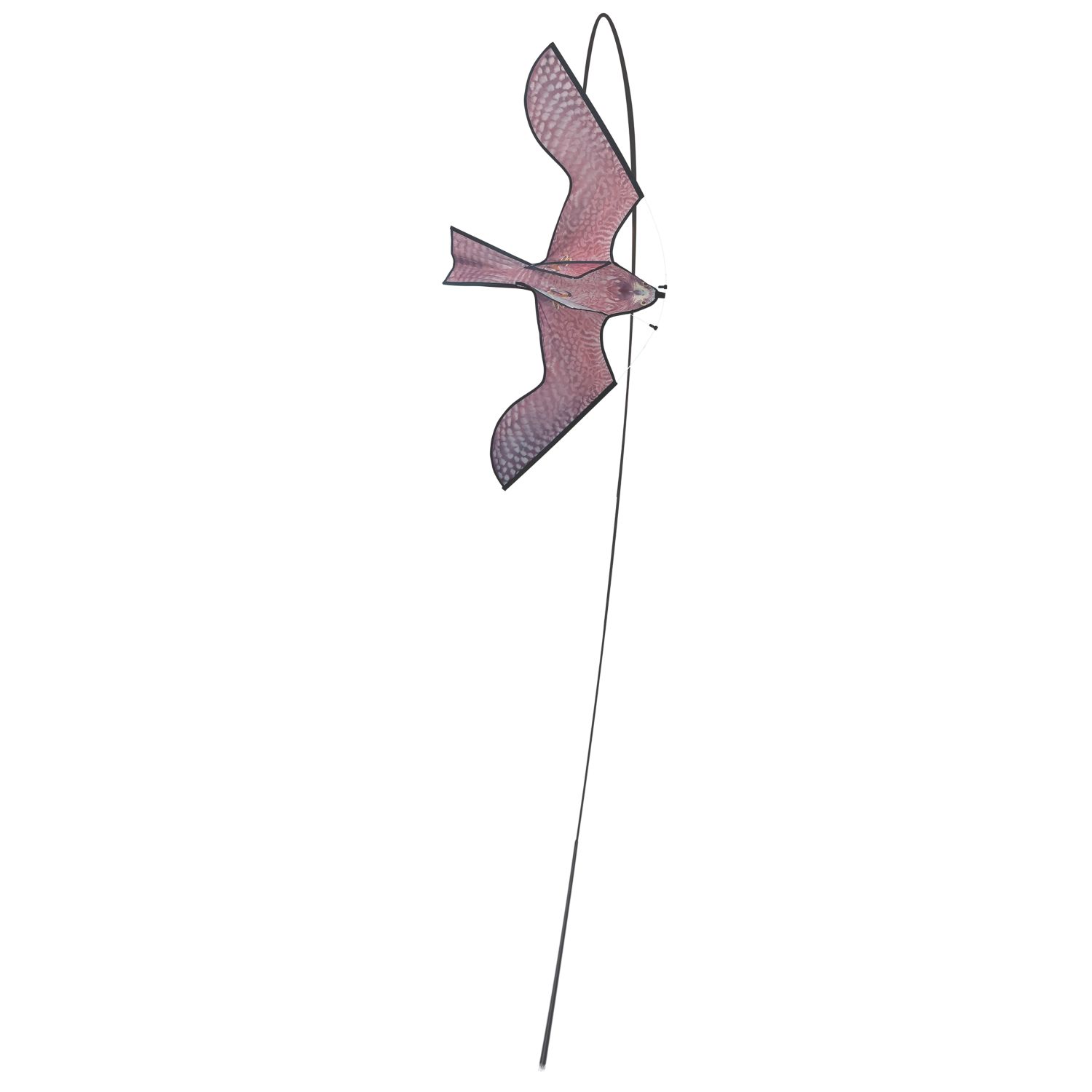 The Big Cheese STV968 Bird Hawk Kite (896EP)