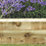 Forest Landscaping Sleepers Natural Timber 2.4m 5 Pack