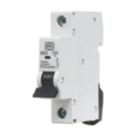 MK Sentry  63A SP B Curve  MCB