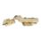 Eclipse 3D Adjustable Soft-Close Steel 105° Half Overlay Brushed Brass Cabinet Hinges 62mm 2 Pack