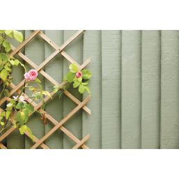 Ronseal Fence Life Plus Shed & Fence Treatment Sage 9Ltr