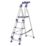 Werner Aluminium 1.68m 5 Step Platform Step Ladder With Handrail