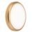 Knightsbridge  Bulkhead Bezel Matt Brass 315mm