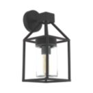 Eglo Trecate Outdoor Wall Light Black